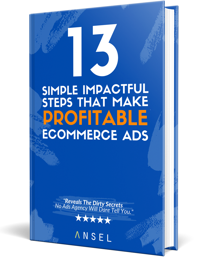 Profitable Ads — the Super FB Ads Book by Ansel
